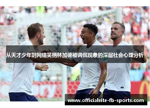从天才少年到网络笑柄林加德被调侃现象的深层社会心理分析 从天才少年到网络笑柄林加德被调侃现象的深层社会心理分析