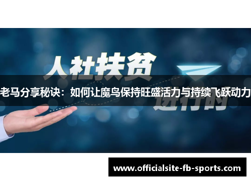 老马分享秘诀：如何让魔鸟保持旺盛活力与持续飞跃动力