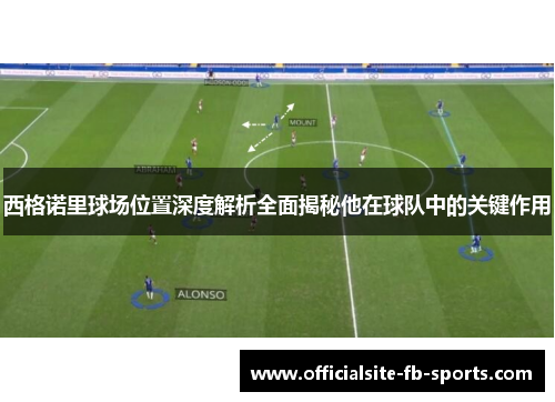 西格诺里球场位置深度解析全面揭秘他在球队中的关键作用