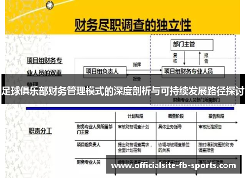足球俱乐部财务管理模式的深度剖析与可持续发展路径探讨