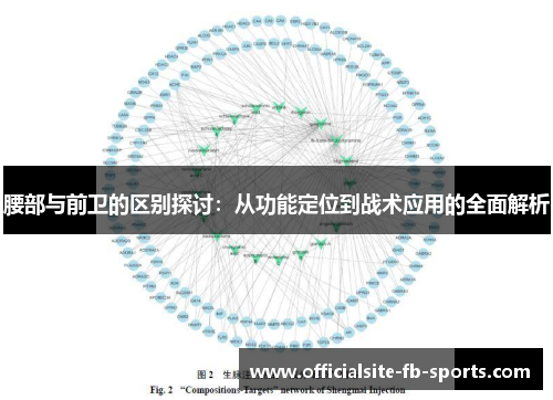 腰部与前卫的区别探讨：从功能定位到战术应用的全面解析