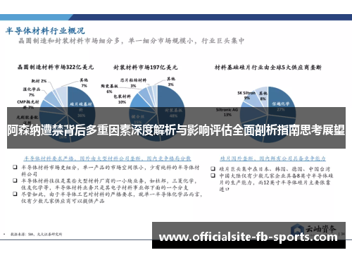 阿森纳遭禁背后多重因素深度解析与影响评估全面剖析指南思考展望 阿森纳遭禁背后多重因素深度解析与影响评估全面剖析指南思考展望