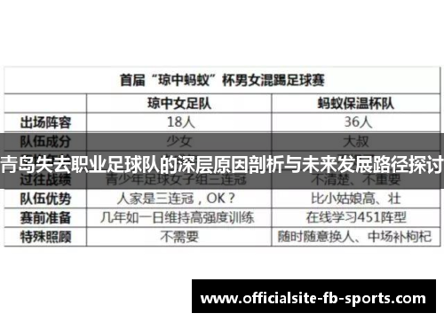 青岛失去职业足球队的深层原因剖析与未来发展路径探讨 青岛失去职业足球队的深层原因剖析与未来发展路径探讨