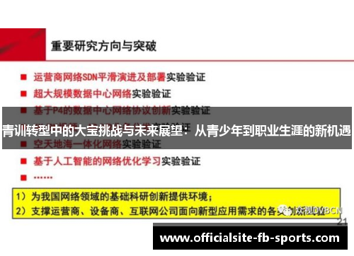 青训转型中的大宝挑战与未来展望:从青少年到职业生涯的新机遇 青训转型中的大宝挑战与未来展望:从青少年到职业生涯的新机遇